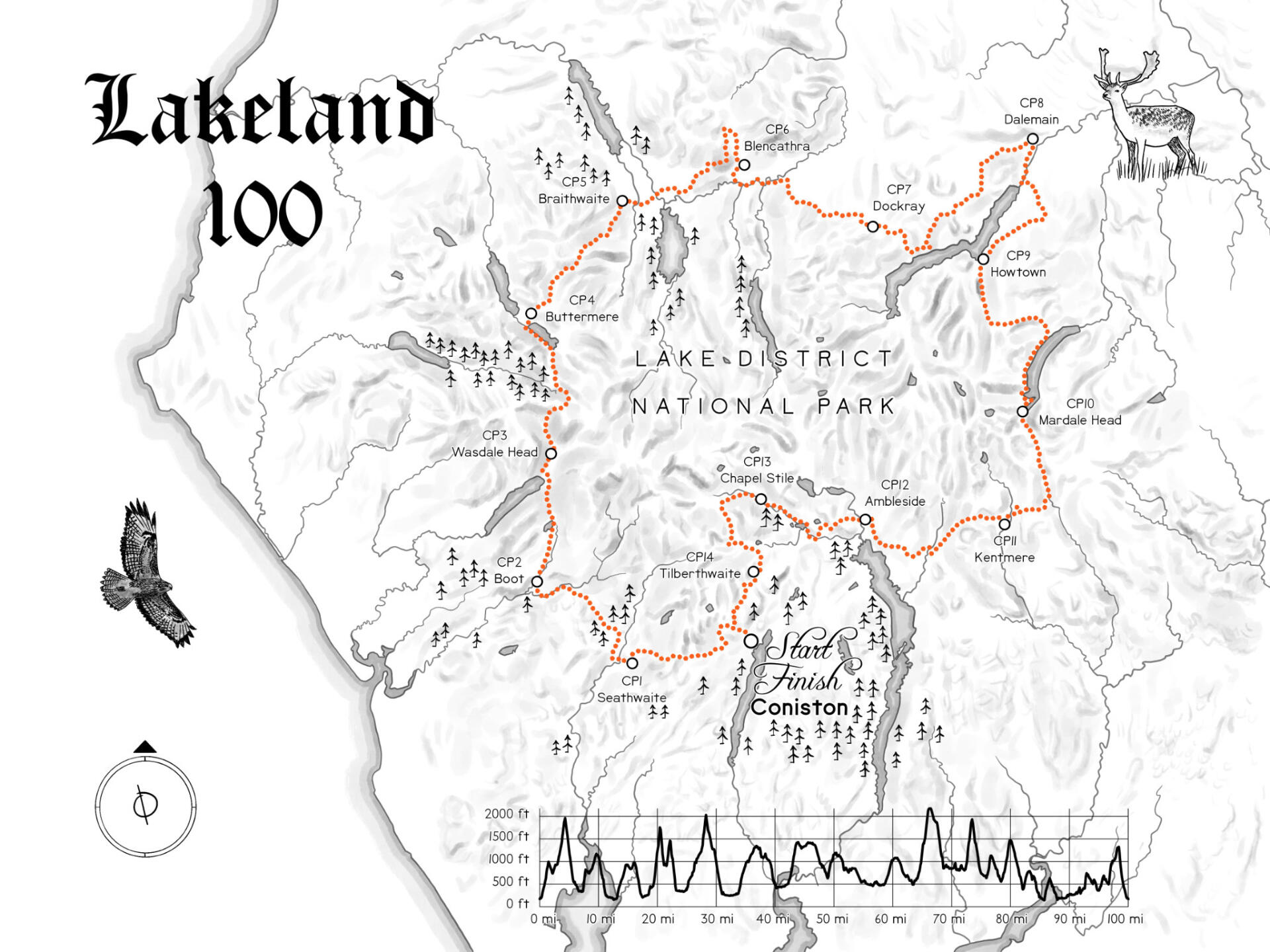 Lakeland 100 - digital illustration