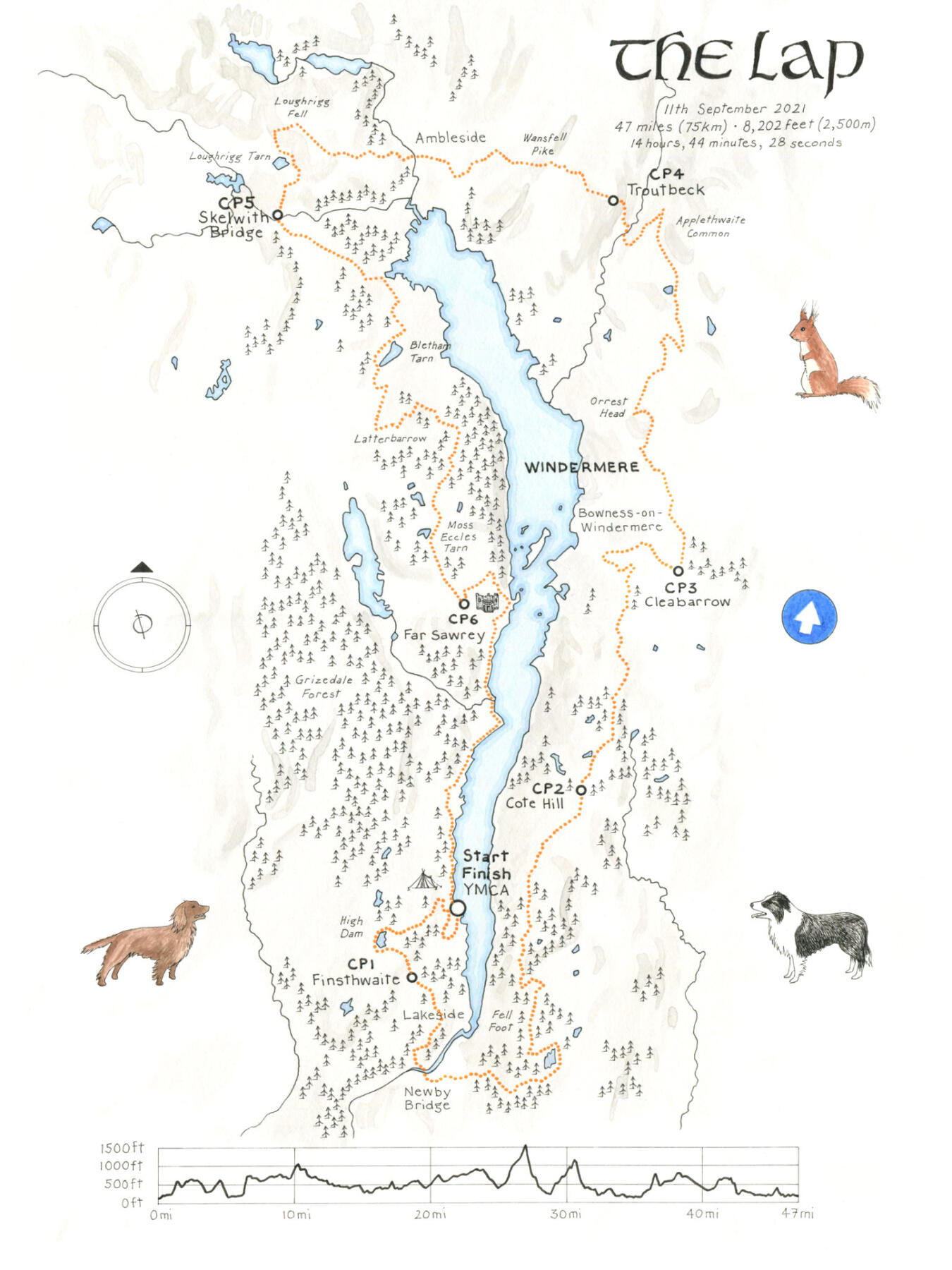 The Lap - ink on 30x40cm Hahnemühle Britannia paper